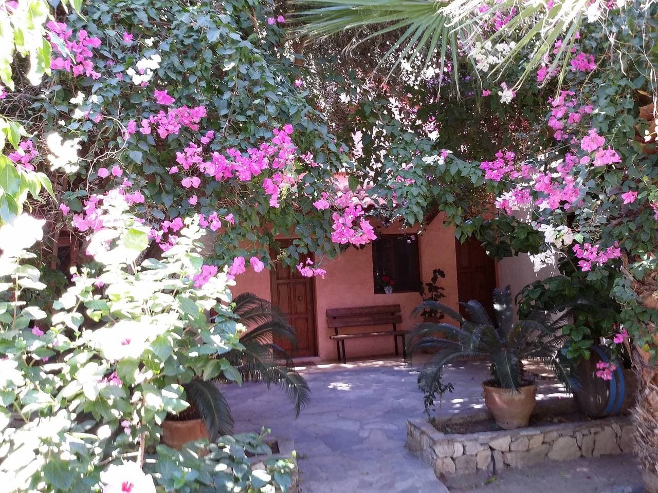Foto 2 von 28: Landhaus 'Olive Tree 4' mit Meerblick, privater Terrasse und Wi-Fi
