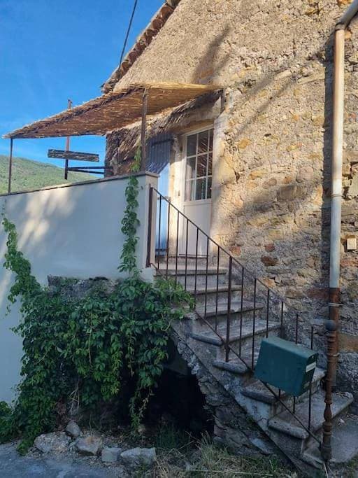 Gîte de la tourterelle 1