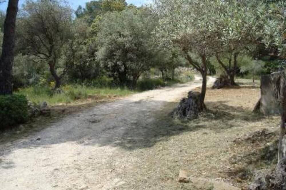 Foto 13 von 30: Provencal cottage surrounded by olive trees for lovers of calm and nature.