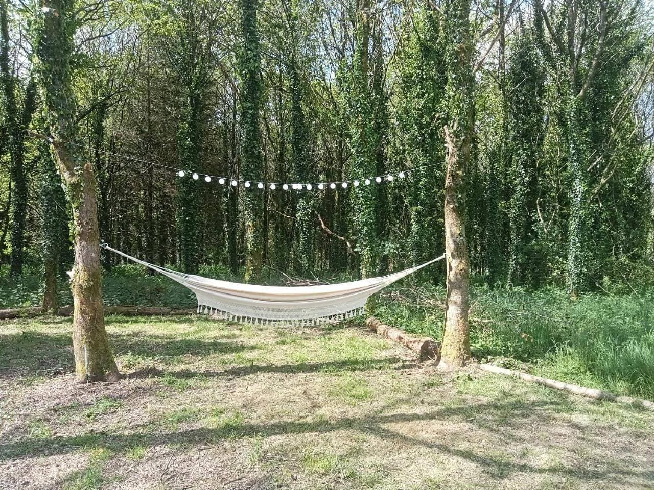 Foto 8 von 8: Tent
