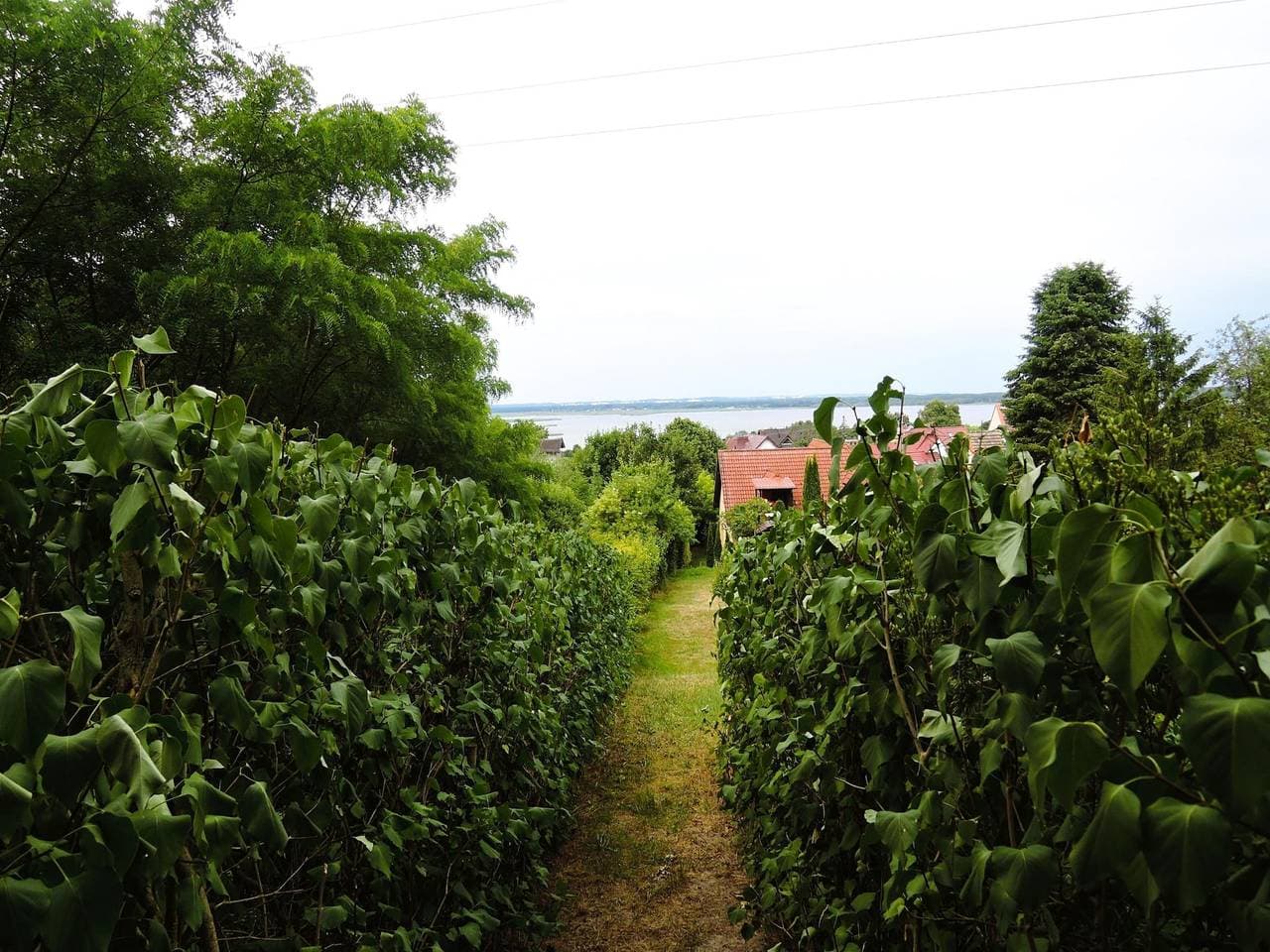 Foto 10 von 20: Doppelzimmer mit Gartenblick, Lubin