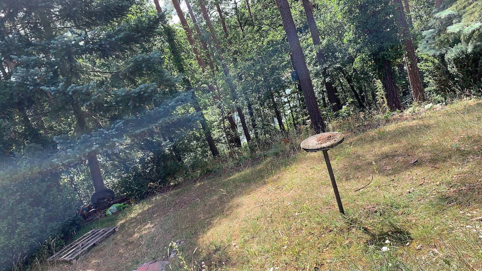 Foto 3 von 33: Ferienhaus Waldzauber 2 mit Seeblick, privater Terrasse und privatem Garten
