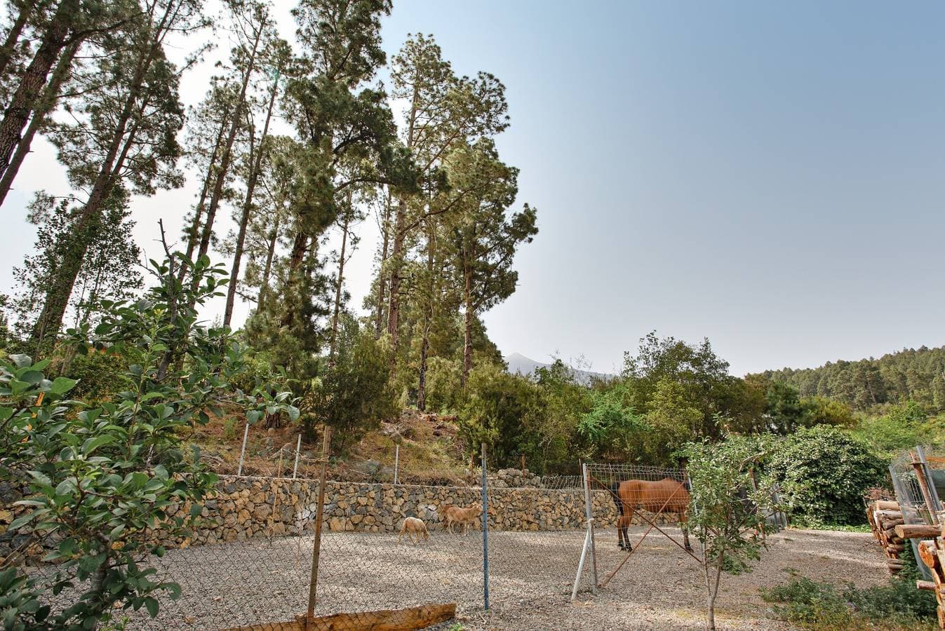 Foto 12 von 34: Casa Rural 'Ca Aurora' mit Bergblick, WLAN und kostenlosem Parkplatz