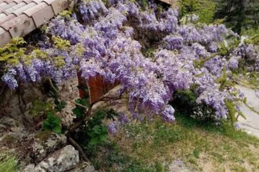 Foto 7 von 20: Charming gîte studio in Ardèche verte