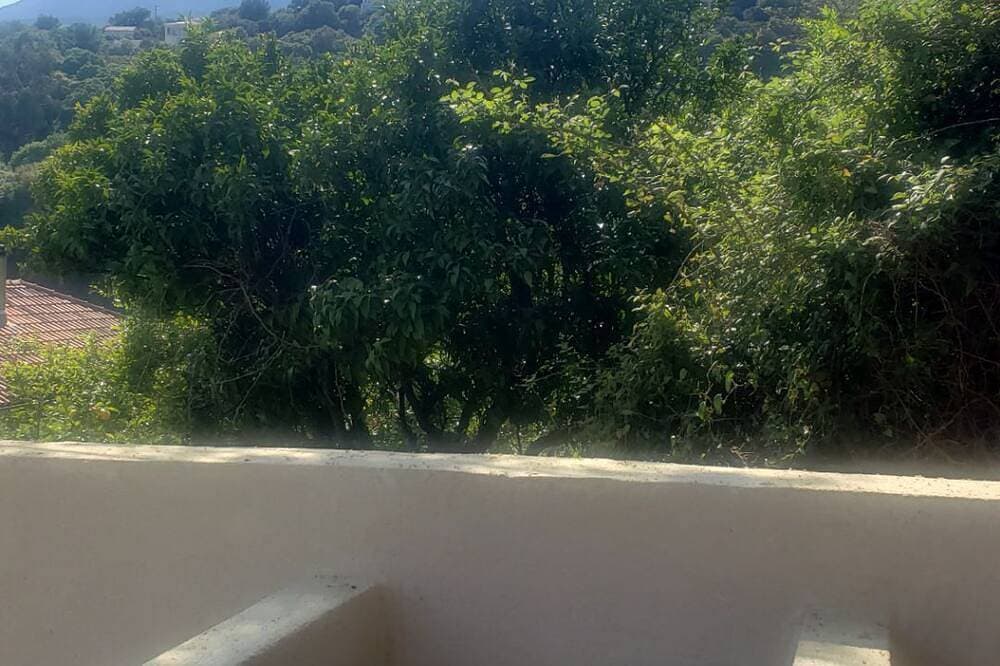 Foto 13 von 14: Apartment in villa on shady plot, near Bastia town center, parking.