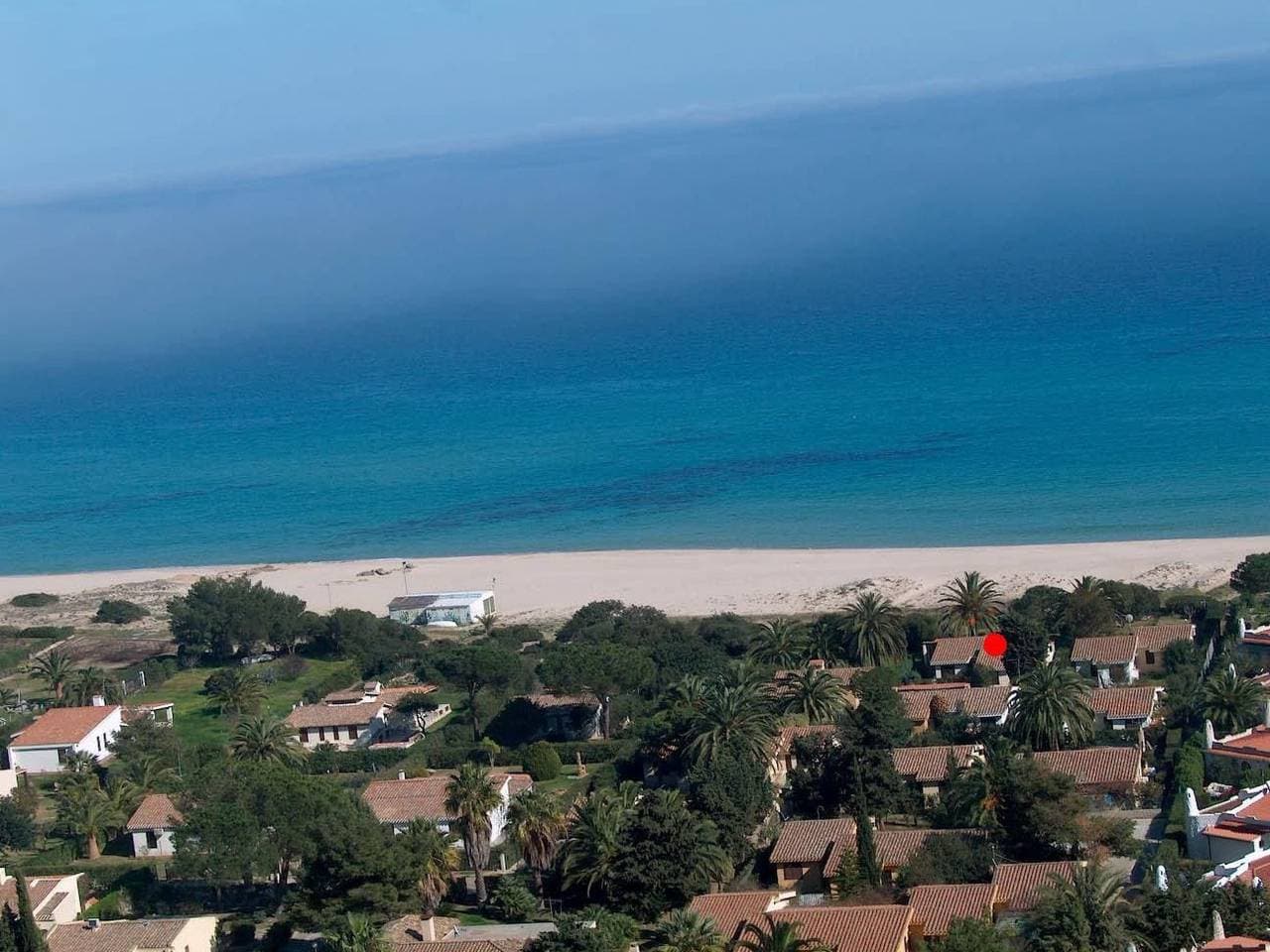 Foto 3 von 38: Palma direkt am Meer