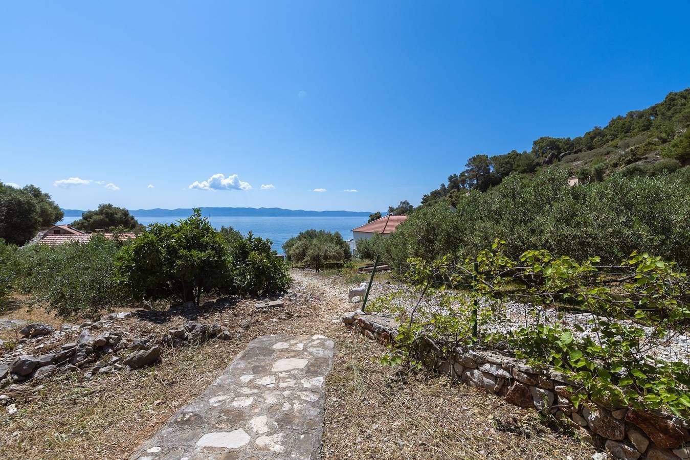 Foto 8 von 39: 2-Zimmer-Ferienwohnung mit Terrasse und Meerblick Bucht Torac, Hvar A-24462-a
