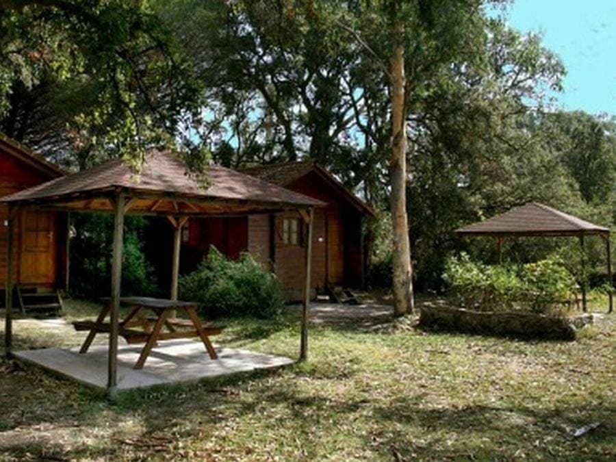 Foto 9 von 50: U Stabiacciu Camping & Chalets - Chalet 4 personen - Chalet Arbousier 2 Zimmer