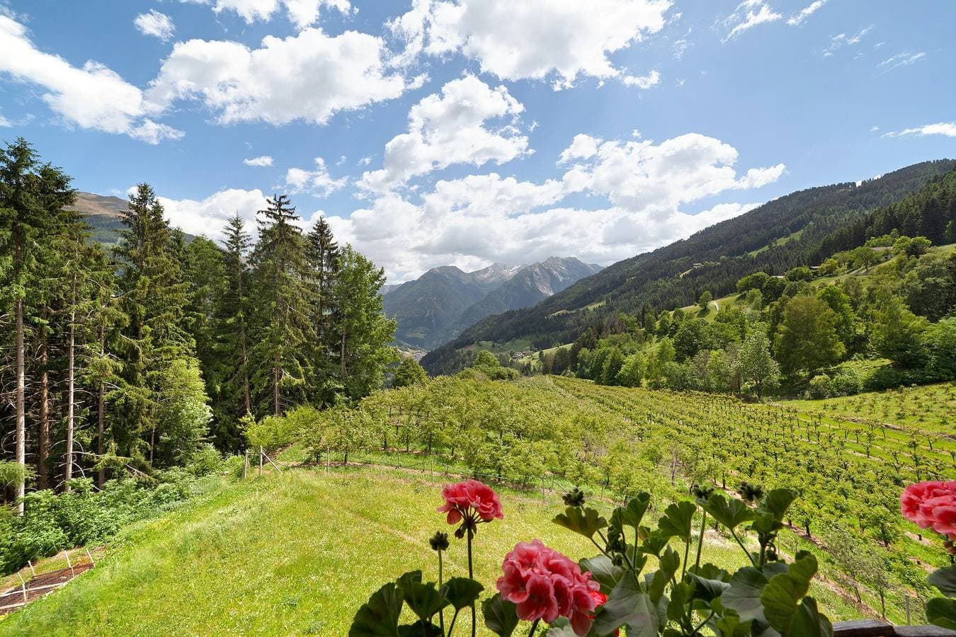 Foto 3 von 25: Ferienwohnung 'B' mit Bergblick, Balkon und WLAN