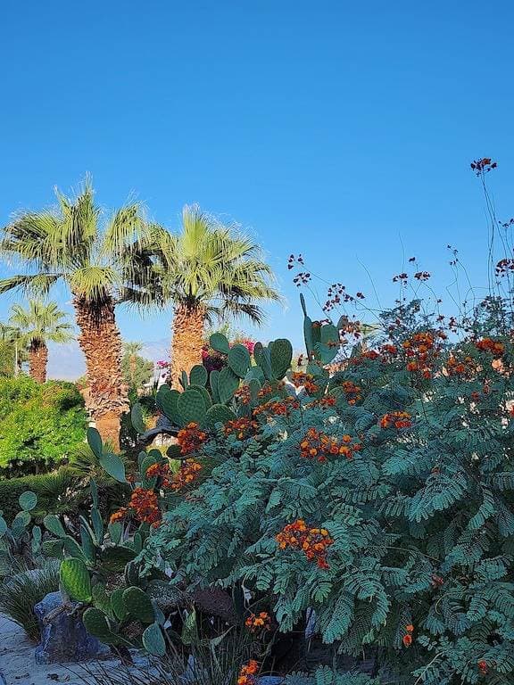 Foto 2 von 24: Peaceful Desert Studio Condo near La Quinta & Palm Desert.  Tons to do!