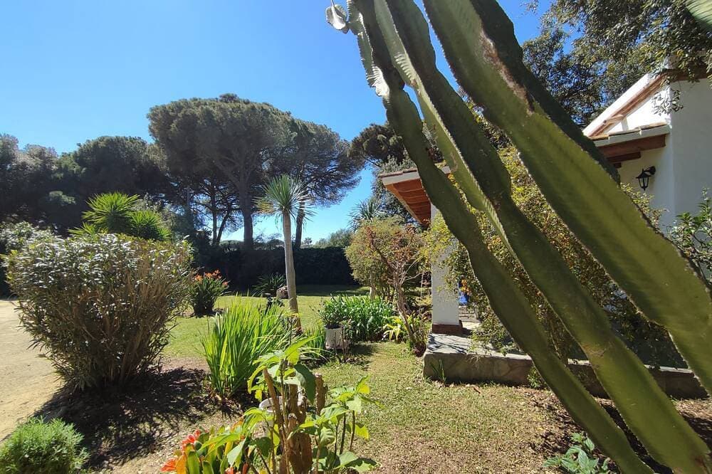 Foto 11 von 20: Finca la Hijuela, Casa Madreselva