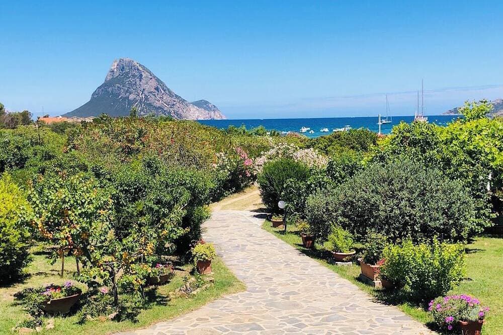 Foto 10 von 19: Three-room apartment Oleander 80 mt beach Porto Taverna