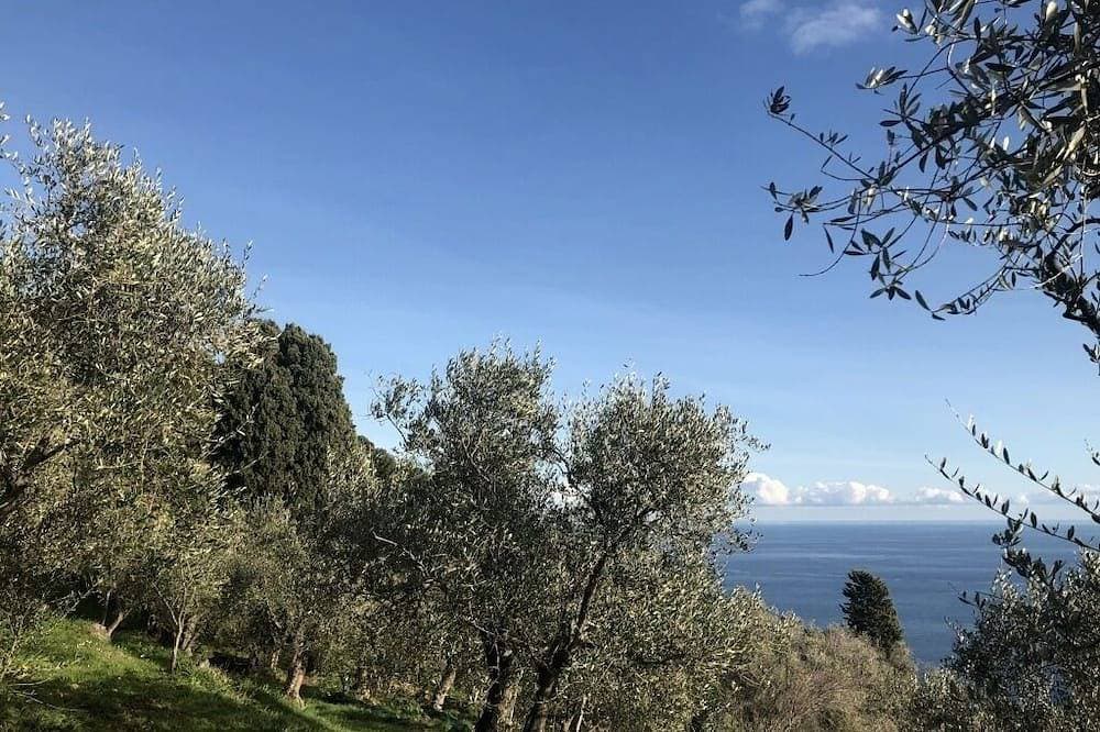 Foto 8 von 11: Zedernhaus, in einem großen mediterranen Garten, den Seealpen und dem Meer