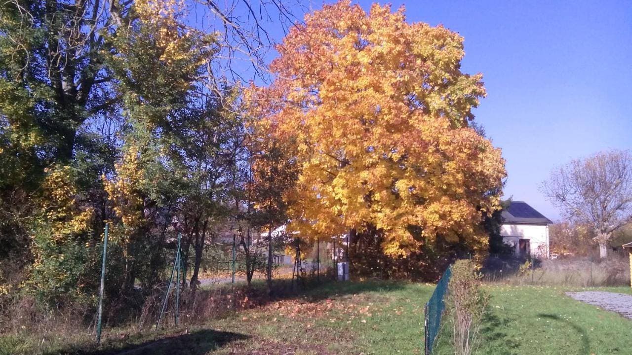 Foto 11 von 48: Chalet