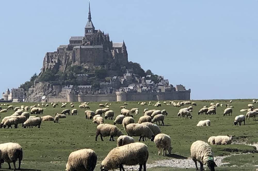 Foto 11 von 19: La Rose de Ducey – Familiensuite für 4 Personen nahe Mont-Saint-Michel