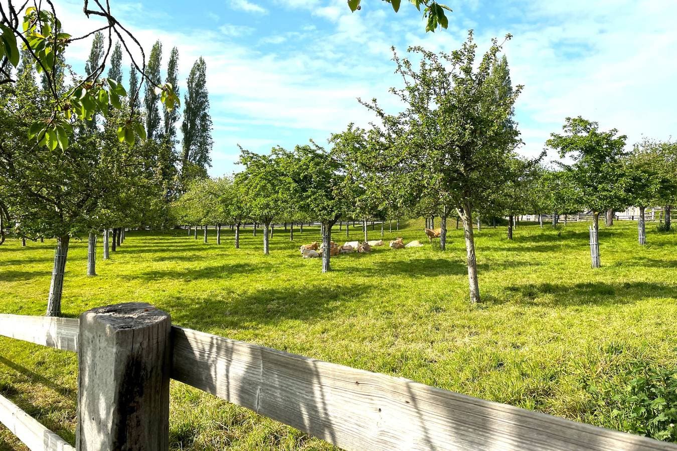 Ferienwohnung 35m² 1