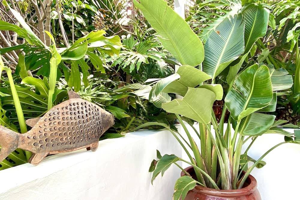 Foto 12 von 30: Casa Plumeria, a place to be happy!