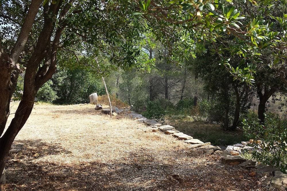 Foto 8 von 30: Provencal cottage surrounded by olive trees for lovers of calm and nature.