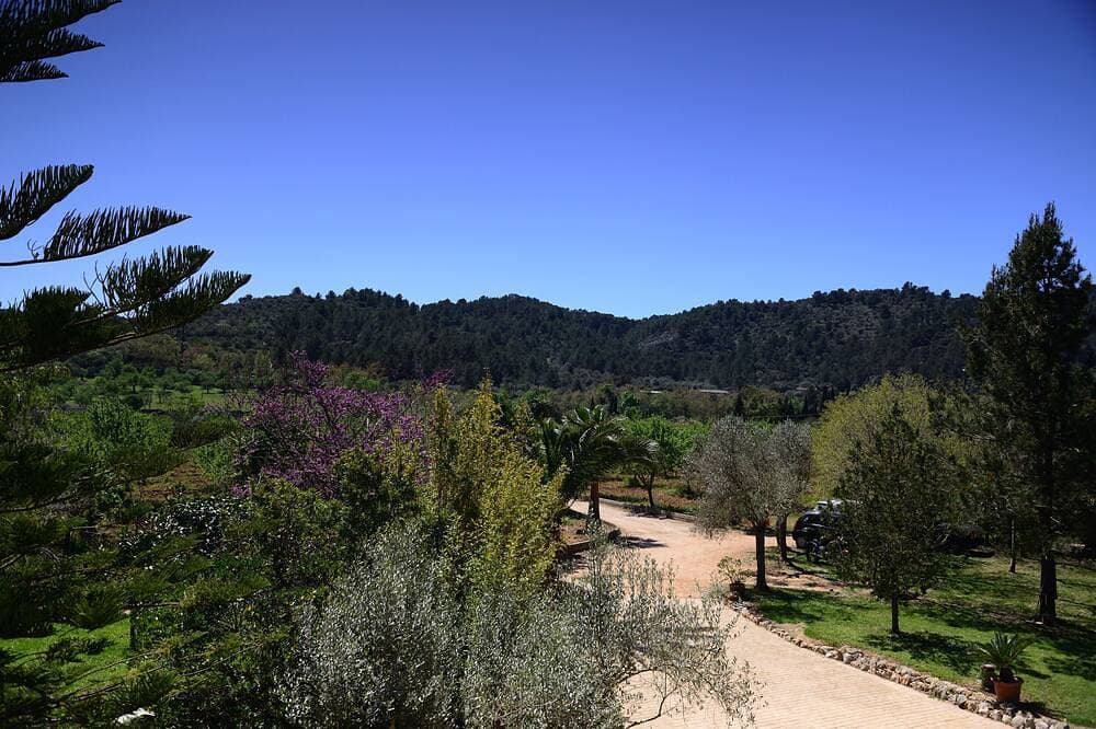 Foto 11 von 30: Rustikales Haus in Finca von 55000 m2 mit Gärten und Pool. 10 Minuten von Palma entfernt