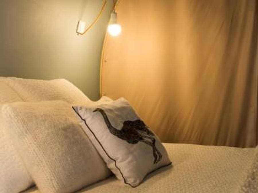 Foto 13 von 88: Camping Le Mont Joli Bois - Bungalowzelt 4 personen - Coco Sweet, ohne sanitäre Einrichtungen