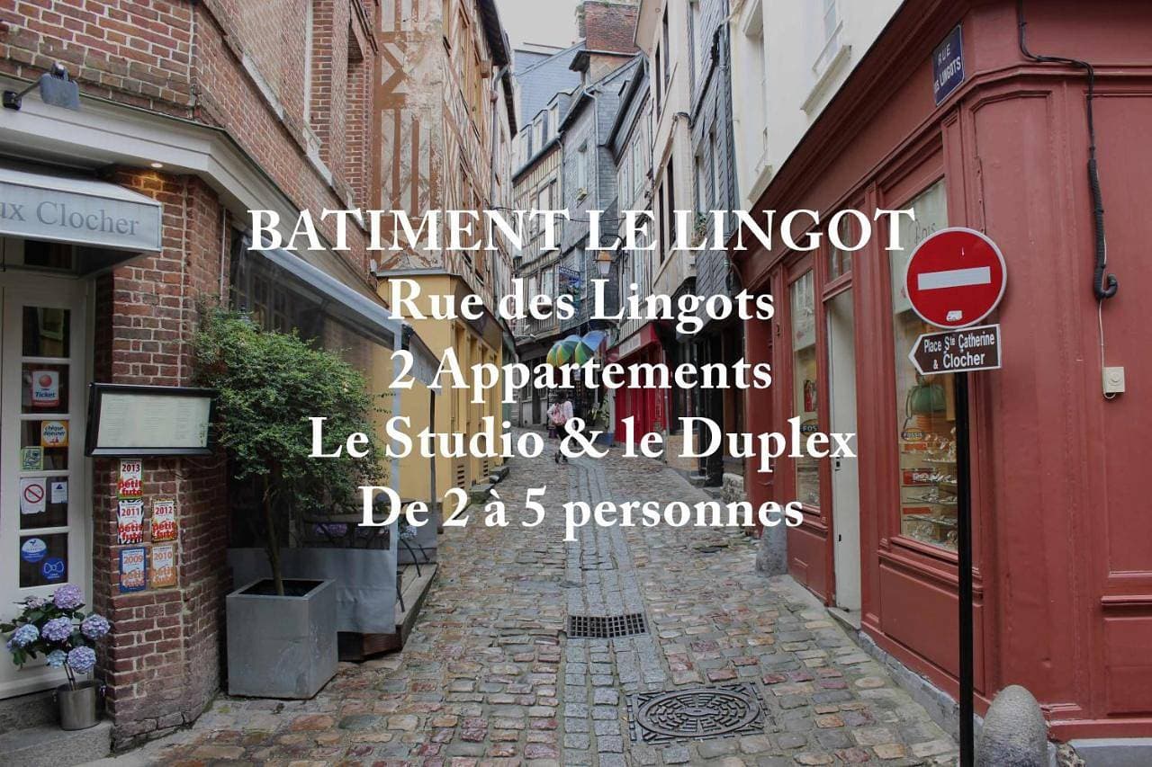 Les Maisons de Maje - Le Lingot 1