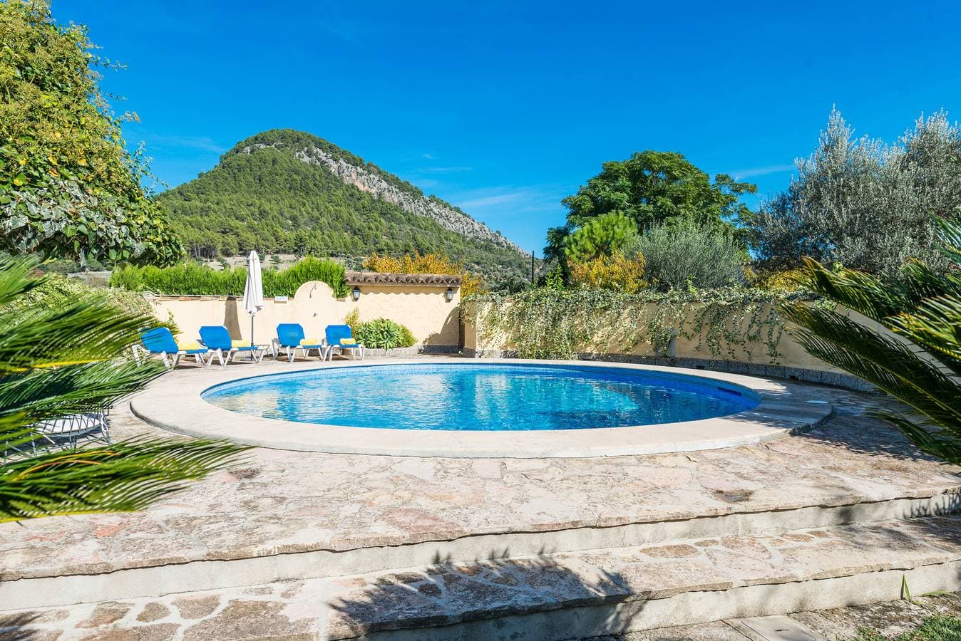 Foto 5 von 26: Sort Llarga Finca en Pollensa para 6 personas