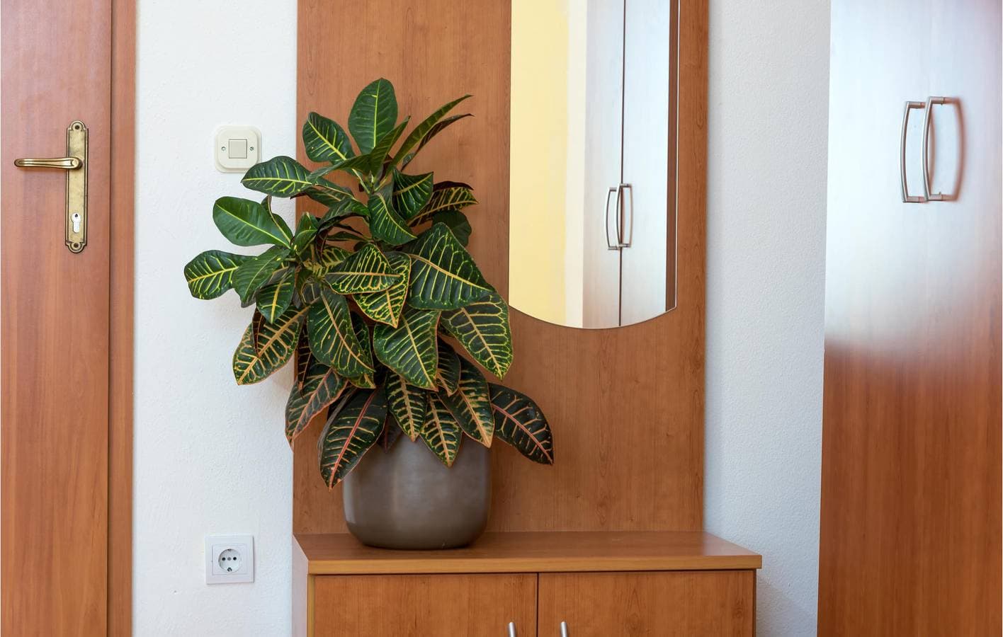 Foto 11 von 19: Gemütliche Wohnung mit Terrasse, WLAN und 500 m zum Strand