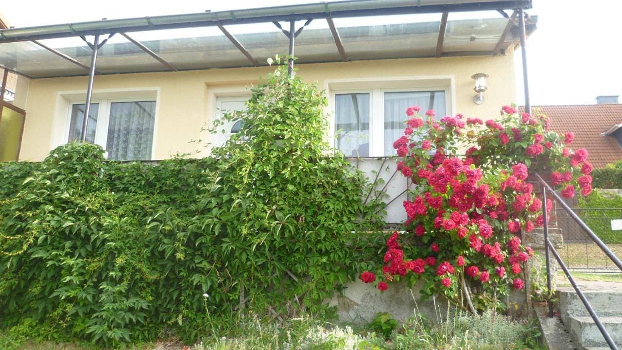 Ferienhaus 1 1