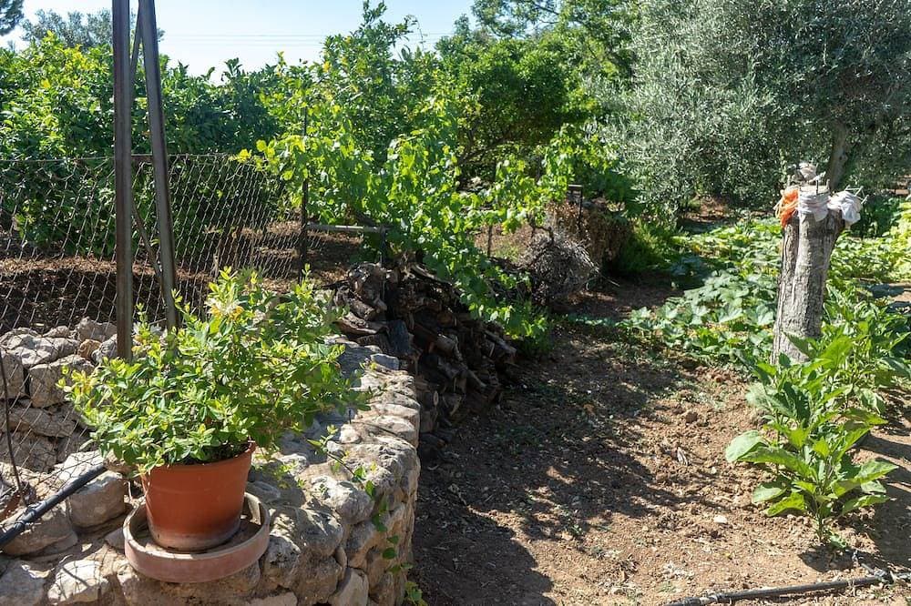 Foto 8 von 25: Finca Ca'n Pereó - With private pool at the foot of the Tramuntana (Selva)
