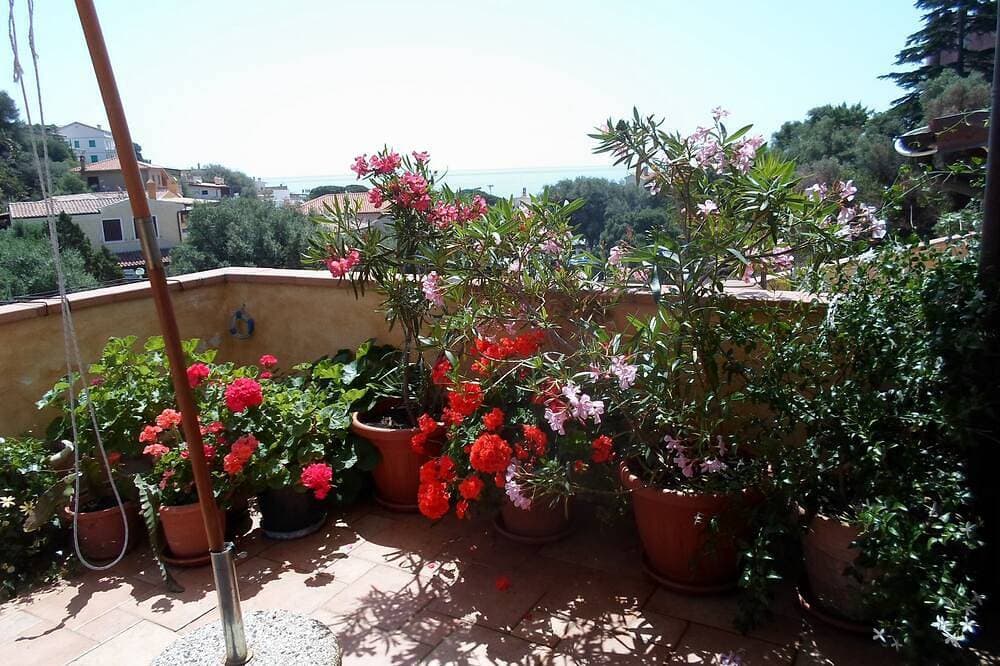 Foto 13 von 30: Cala Gonone Ein Traumurlaub Zwei Schritte Vom Meer Entfernt Im Paradies Sardinie