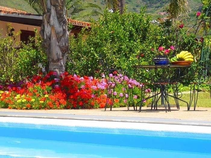 Foto 11 von 25: Ausgezeichnete Finca