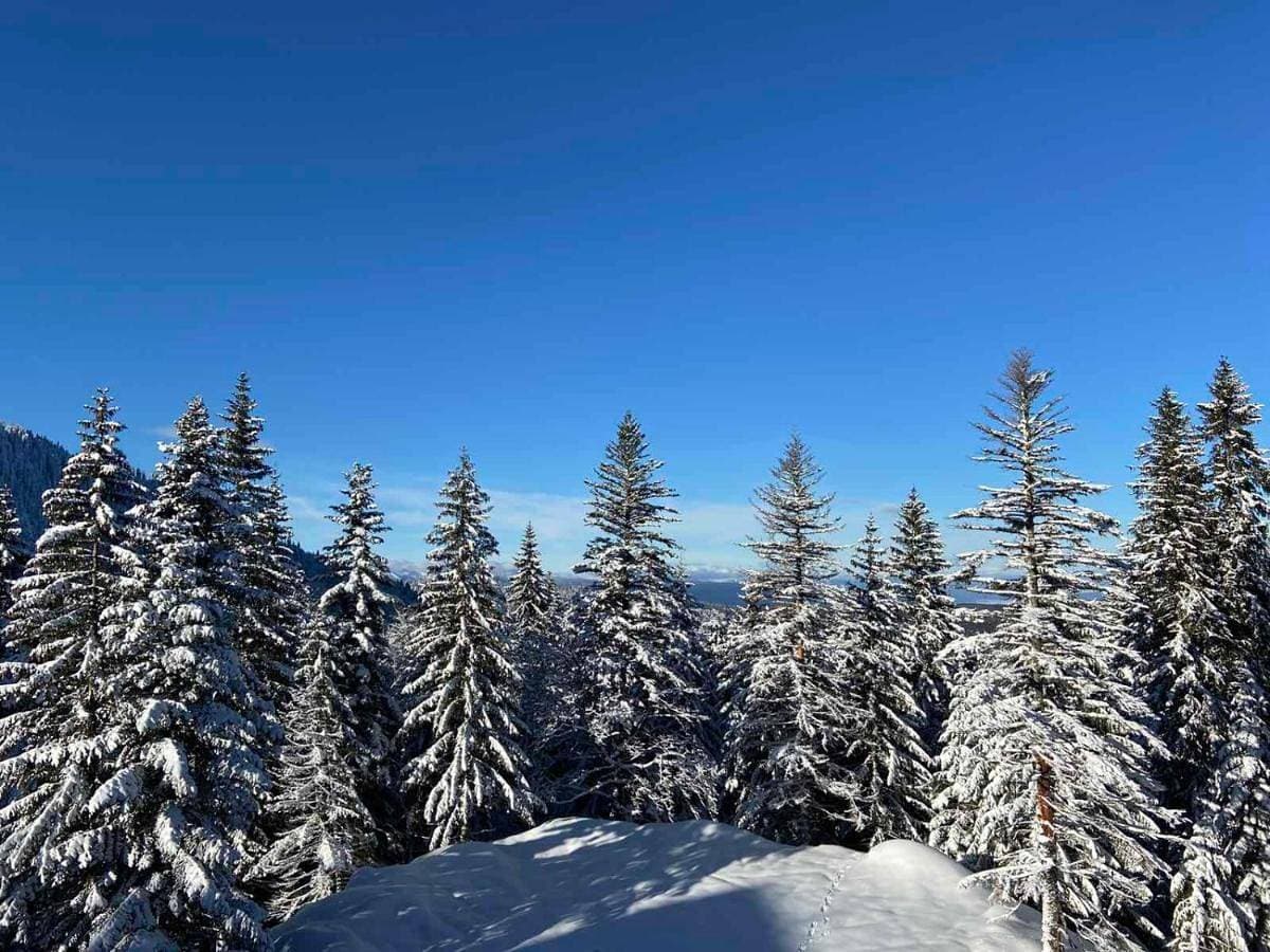 APARTMANI POLARIS JAHORINA 1