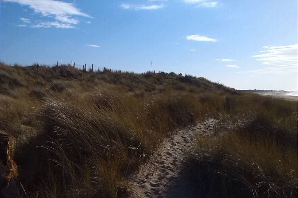 Foto 11 von 18: 200 m vom meer entfernt anneville sur mer gouville sur mer