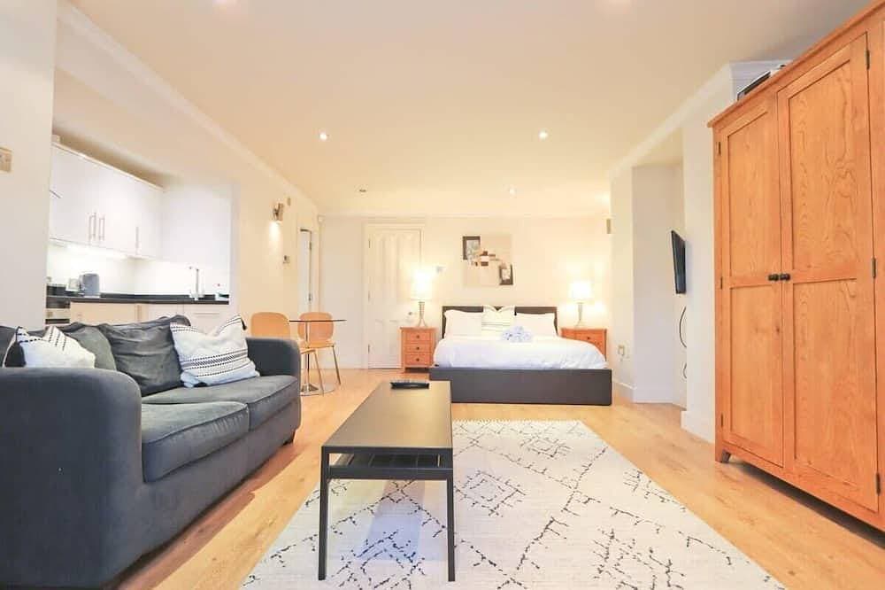 Modern Studio in Desirable Clifton Area 1