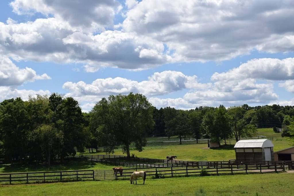 Foto 10 von 17: Horses|Hot Tub|Fire Pit|Hiking|Tiny Home