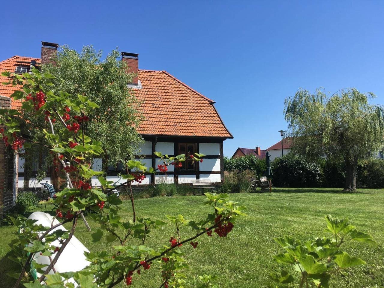 Foto 9 von 74: Apartment with Garden View