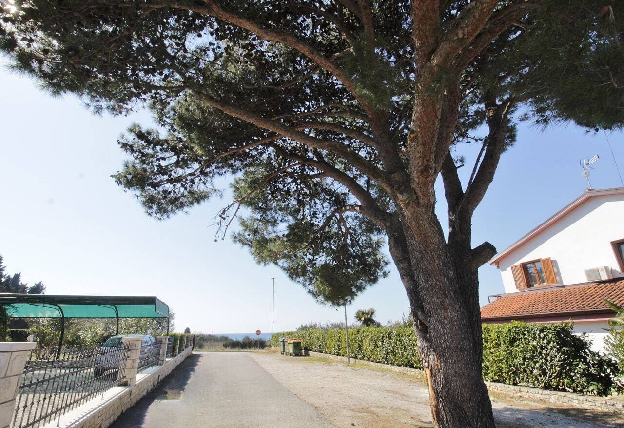 Apartment Apartment Katarina with sea view 2 1