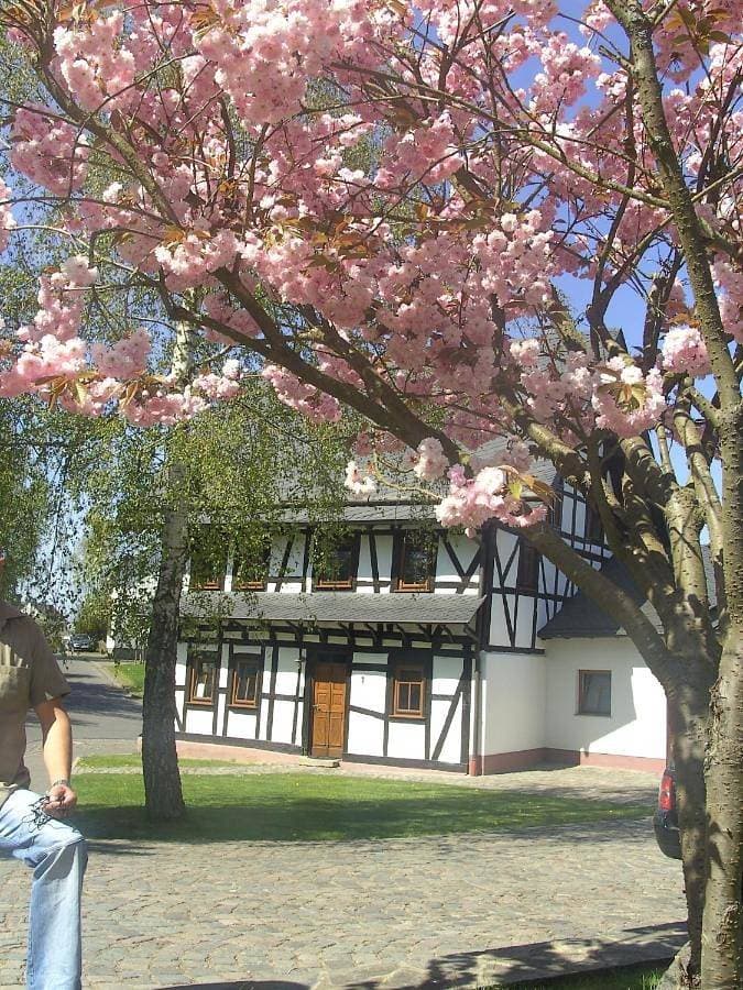Ferienhaus Schmitt 1