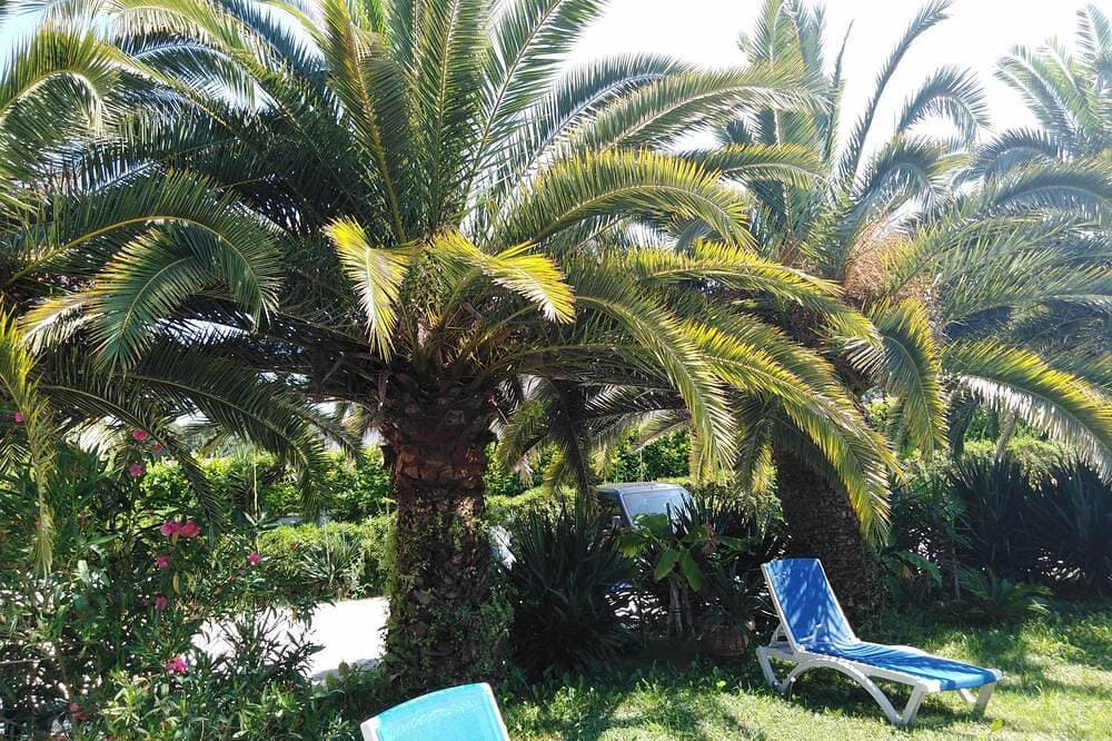Foto 6 von 7: Charmant 2 Pieces En Duplex En Rez-De-Jardin, St Paul De Vence Limite Cagnes/Mer