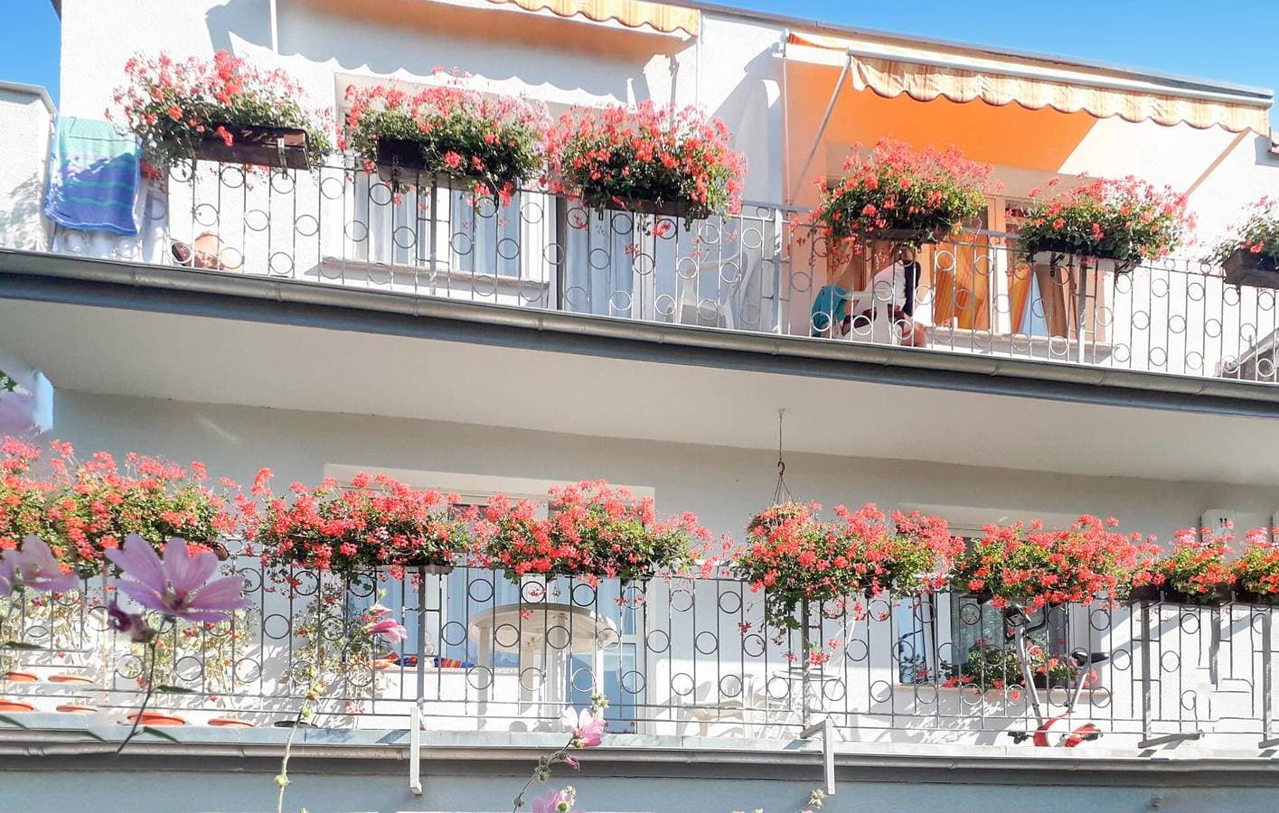 Ferienwohnung 25m² 1