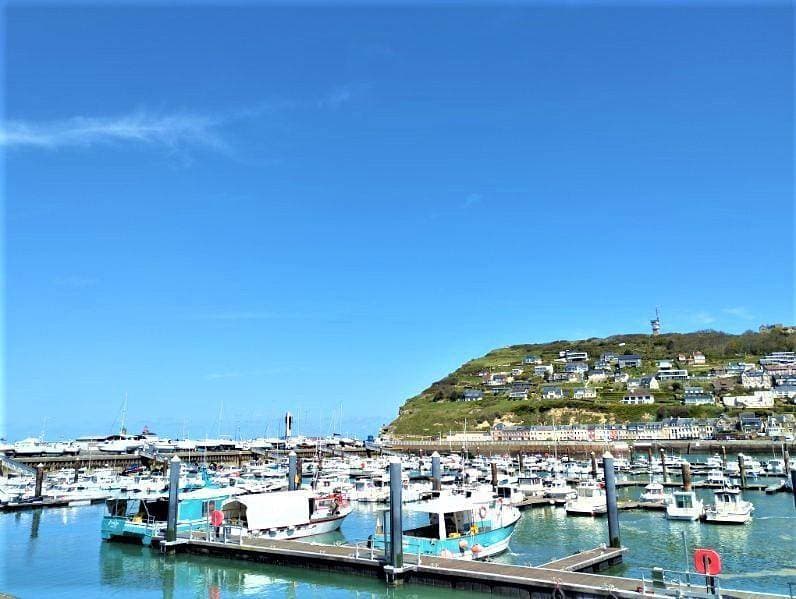 Foto 4 von 19: Gîtes de France® - Hydrangéas