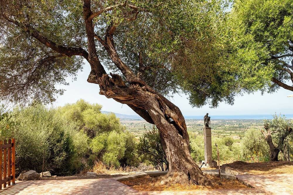 Foto 13 von 30: Il Belvedere di Maria Luisa