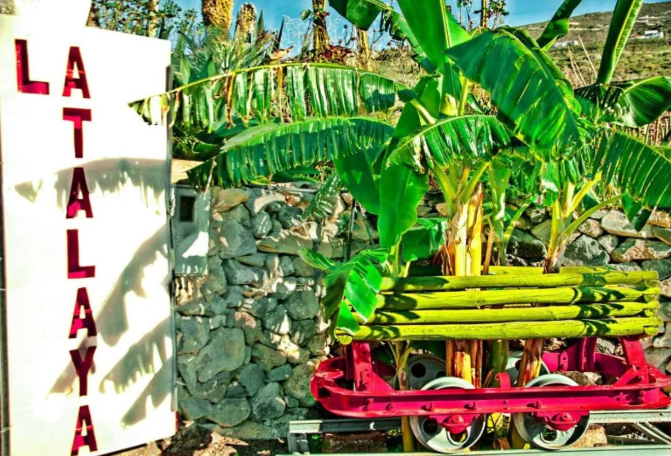 Foto 10 von 35: Urlaub 'Schöne Finca mit Meerblick und Pool 1' mit Gemeinschaftspool, privater Terrasse und Wi-Fi