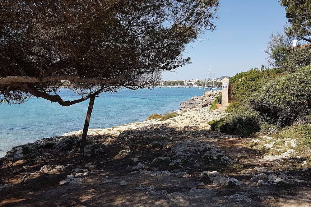 Foto 10 von 21: Close to the beach, in a large house, independent apartment with terrace.