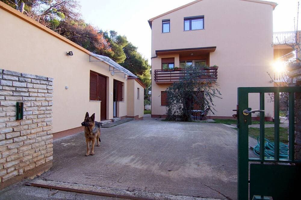 Foto 5 von 18: 50 Meter zum Strand mit Küche, Parkplatz, Haustiere erlaubt, Garten, Grill