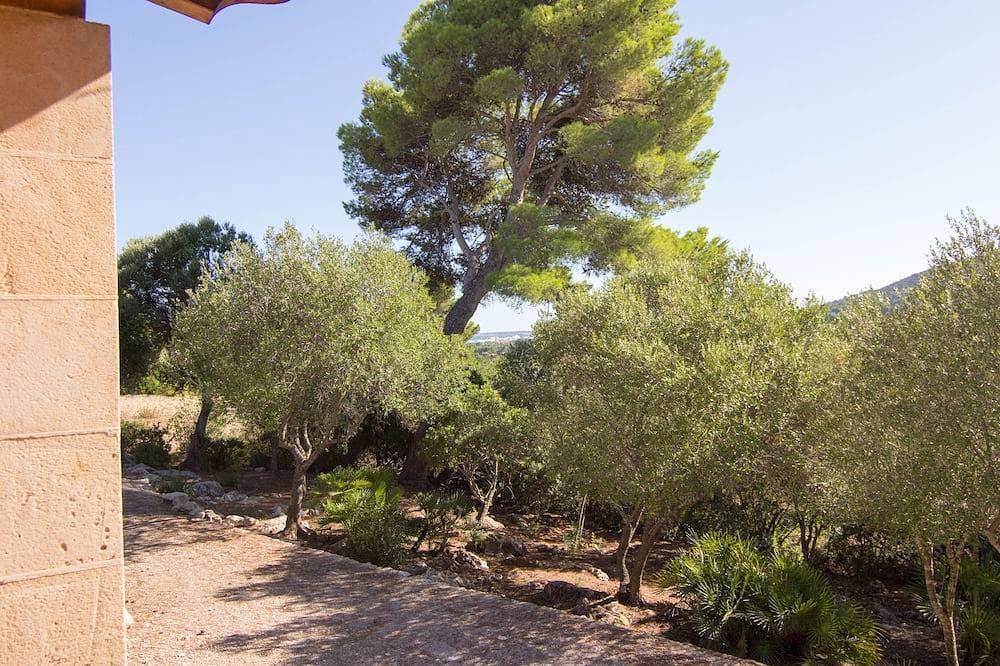 Foto 8 von 24: Finca mit Pool, Pinienwald, Golfplätze ganz in der Nähe. Kostenlos W-Lan