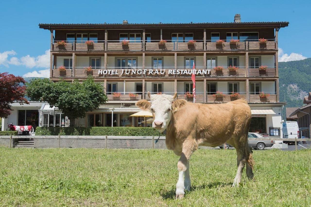 Jungfrau Hotel 1