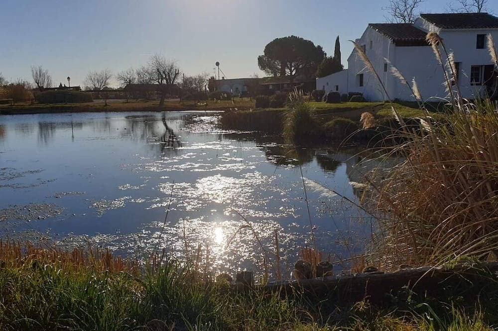 Foto 12 von 26: La Casita in the Camargue: authenticity and nature. Sea 5 minutes away
