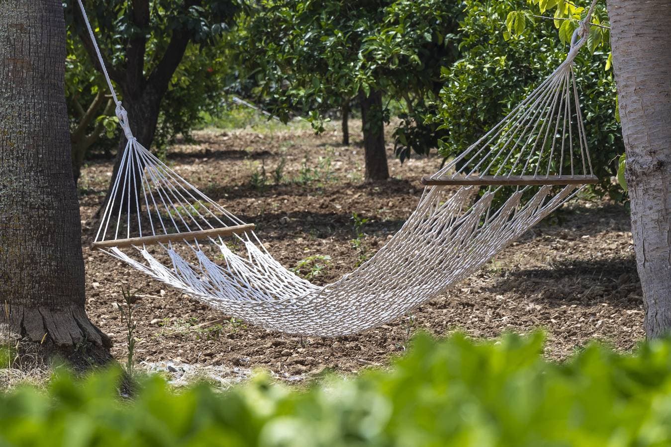 Foto 3 von 47: Finca Son Ramon Llull