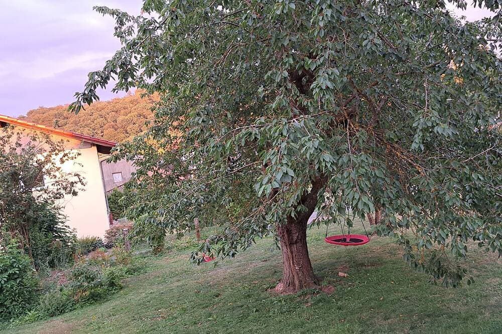 Foto 7 von 11: Liebevoll gestaltete, zum Wohlfühlen einladende Ferienwohnung.
